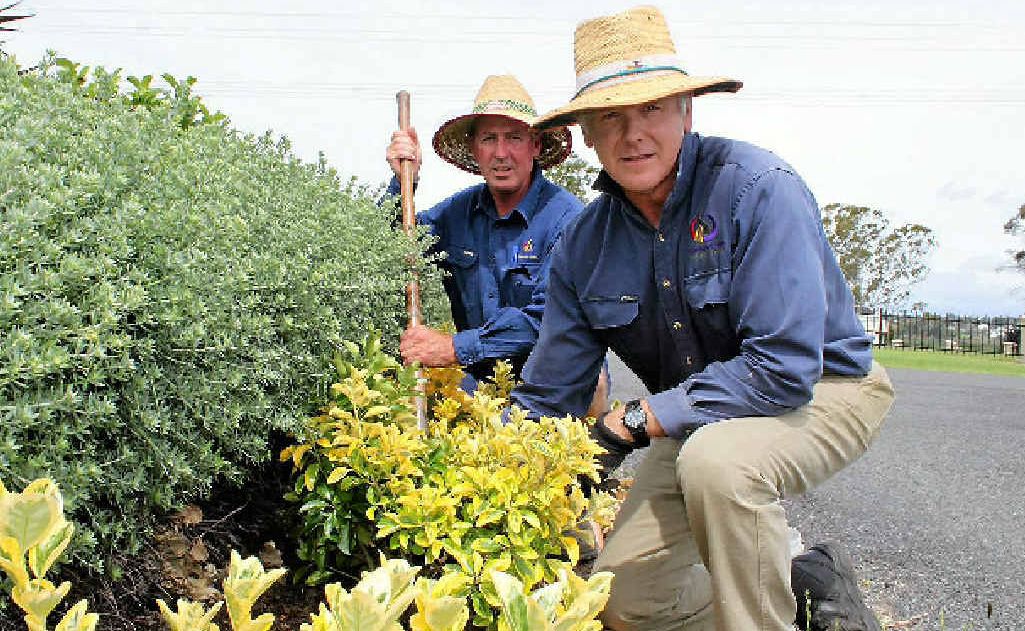 Cemetery gardeners Wayne Brosnan (front) and Peter Doro plant the last of the seven trees that were stolen from the Council Cemetery. Cemetery gardeners Wayne Brosnan (front) and Peter Doro plant the last of the seven trees that were stolen from the Council Cemetery.